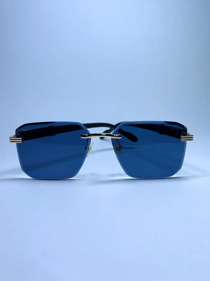 CARTIER LUXURY FRAME